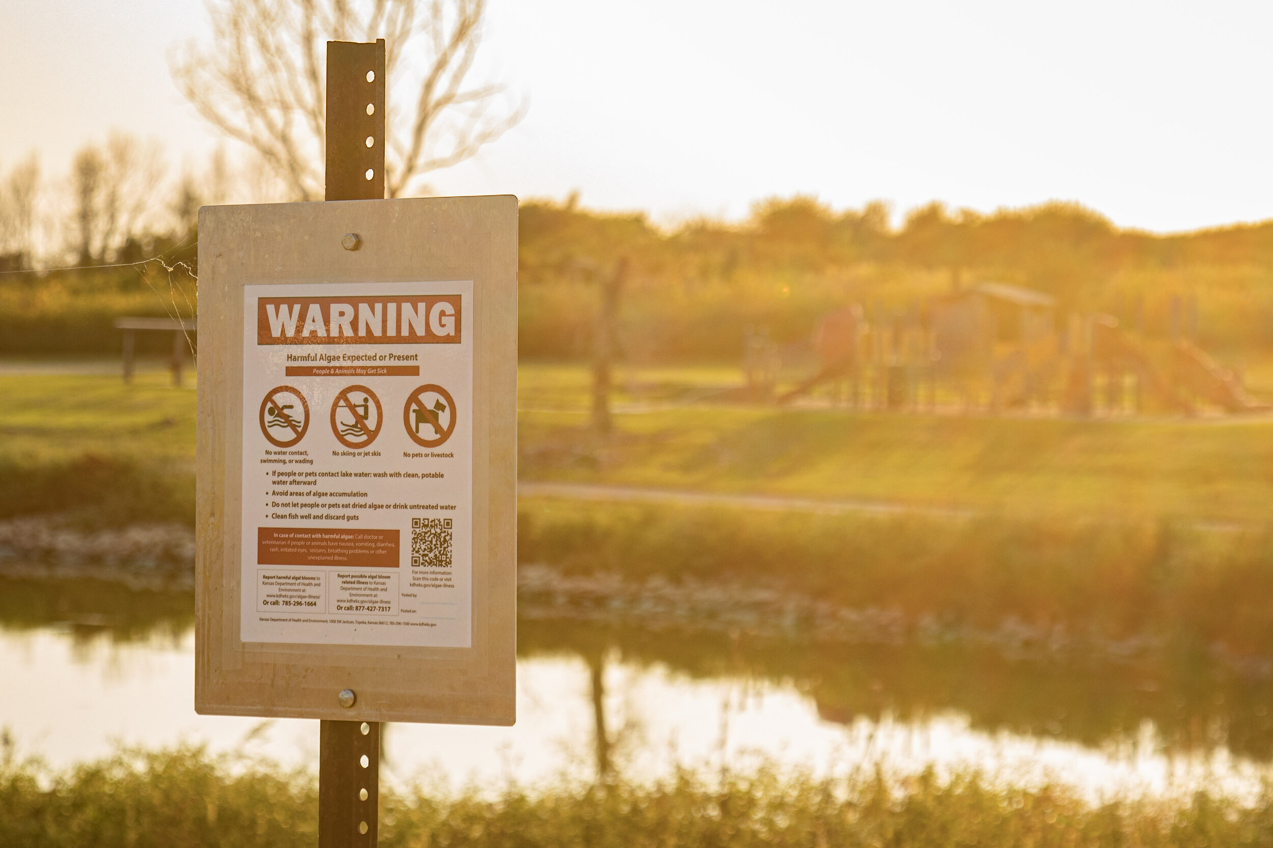 A sign posted at Fort Riley Marina on Milford Lake warns of the possibility of toxic algal blooms that can be harmful to humans and pets. The area is currently under a “warning” recommendation from the KDHE. Zach Bauman/The Beacon