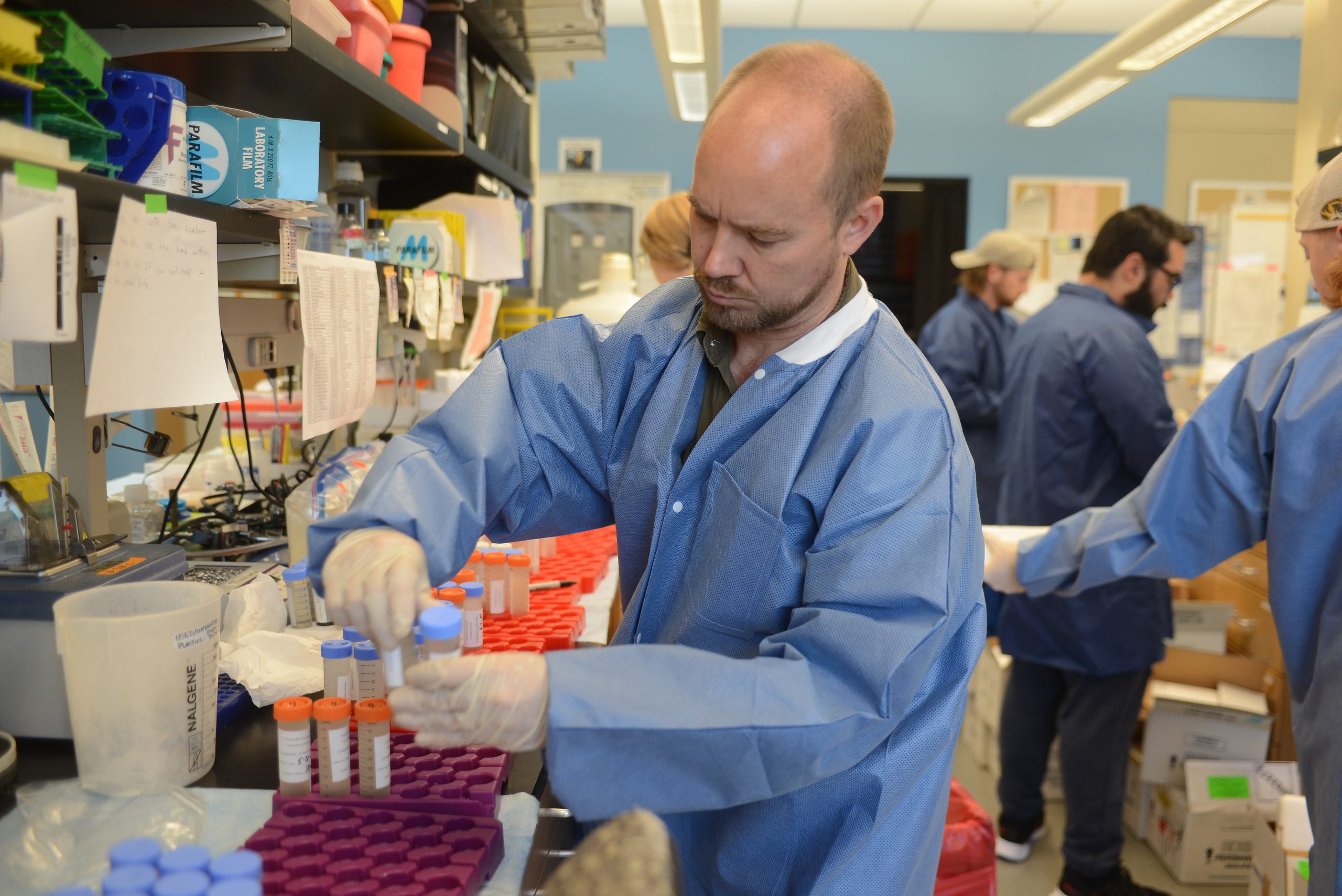 A researcher prepares waste water samples for RNA removal.