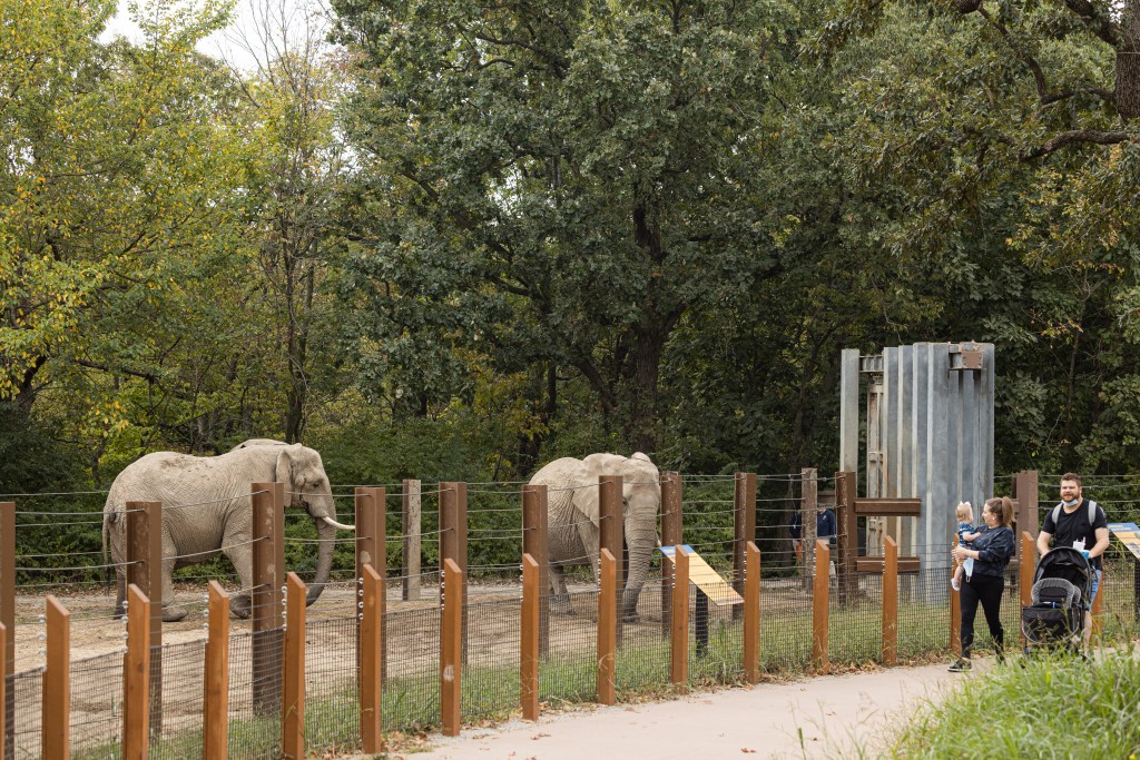 Visitors pass by the elephant exhibit at the Kansas City Zoo. Though it shut down to the public last spring, staff members continued caring for the 1,700 animals at the zoo.