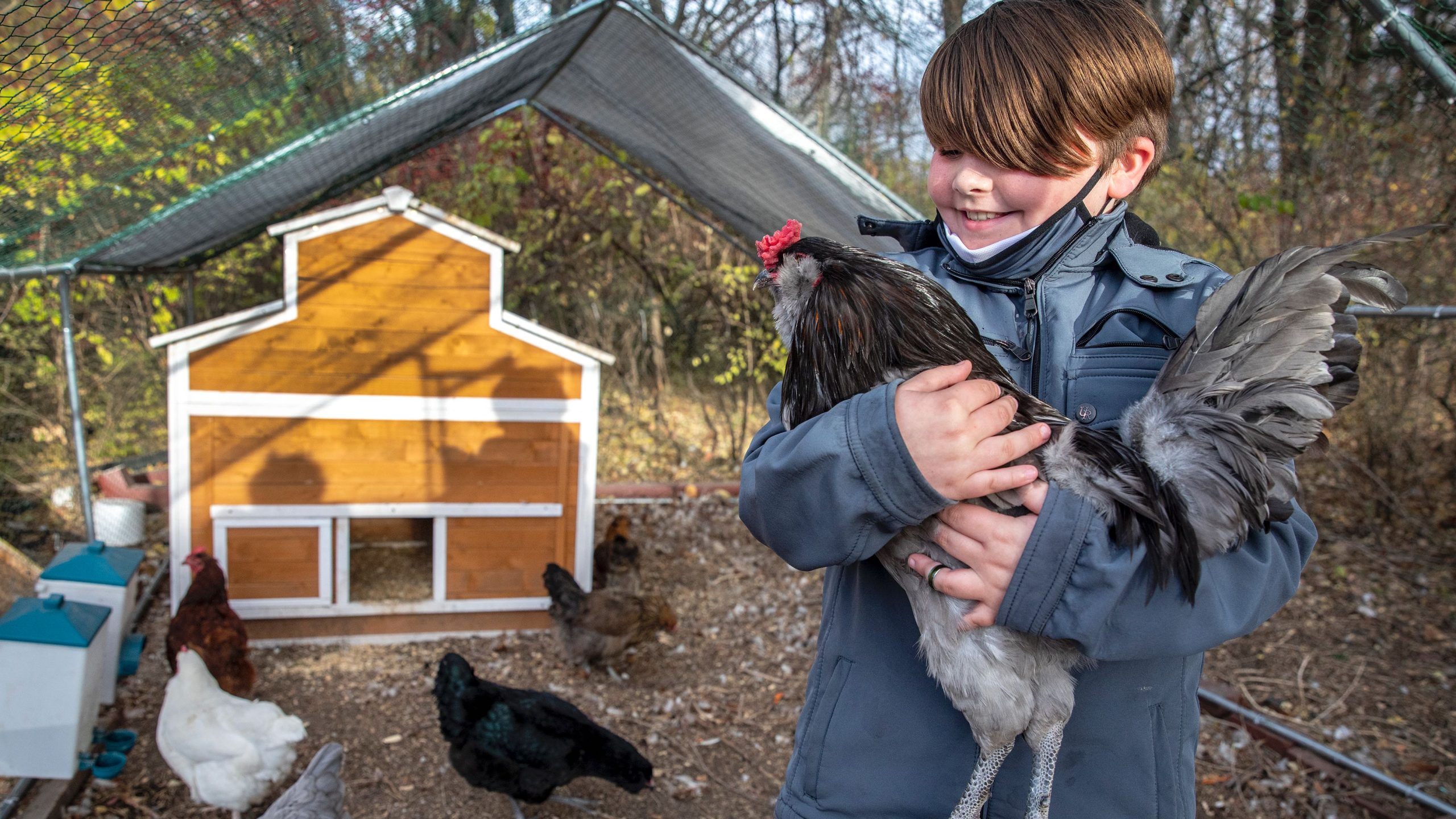 Spencer Newman, a fourth-grader at Earhart Environmental Magnet Elementary, checks on the chickens housed at the campus. (Fernando Salazar/The Beacon)