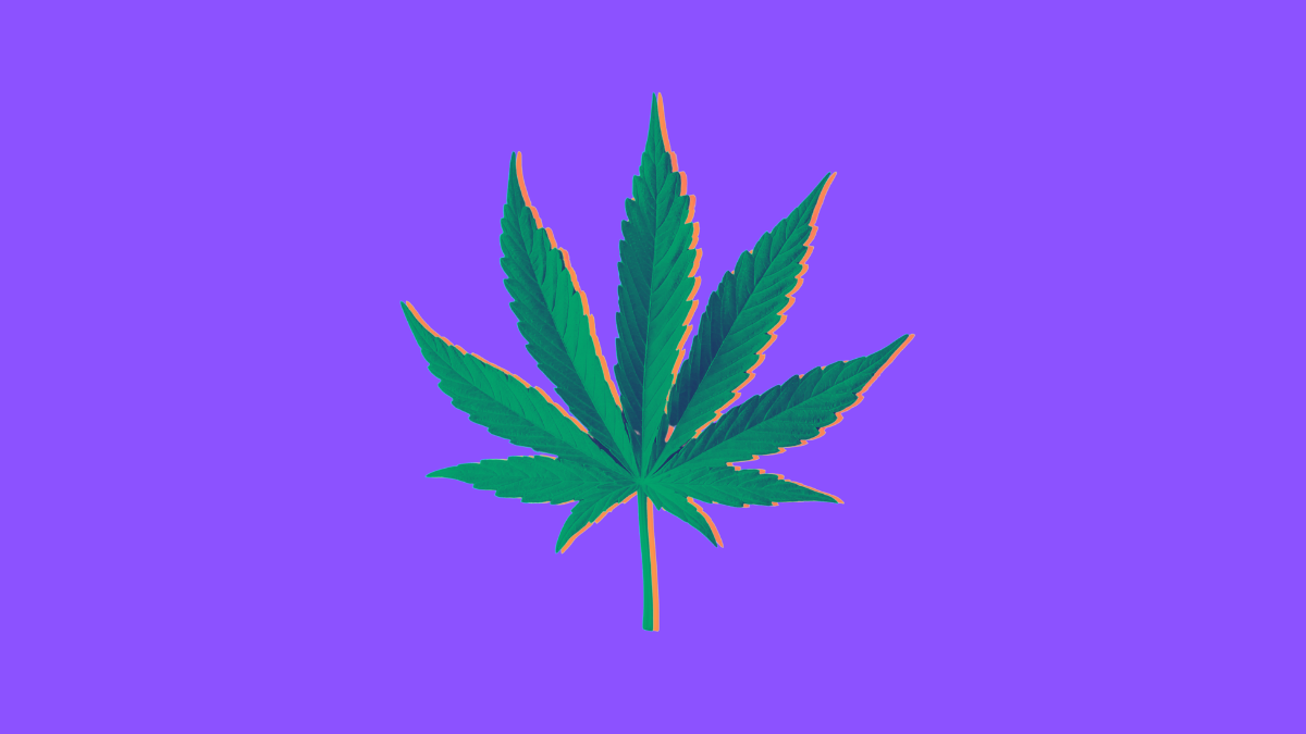 Mariguana leaf illustration with purple background.