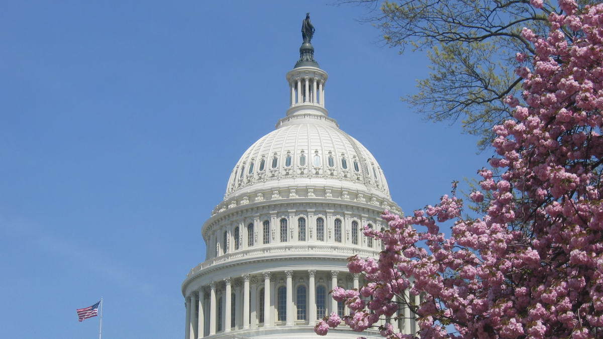 Kansas City-area lawmakers say their policy priorities include the state budget, Missouri sports teams, health care and the economy.