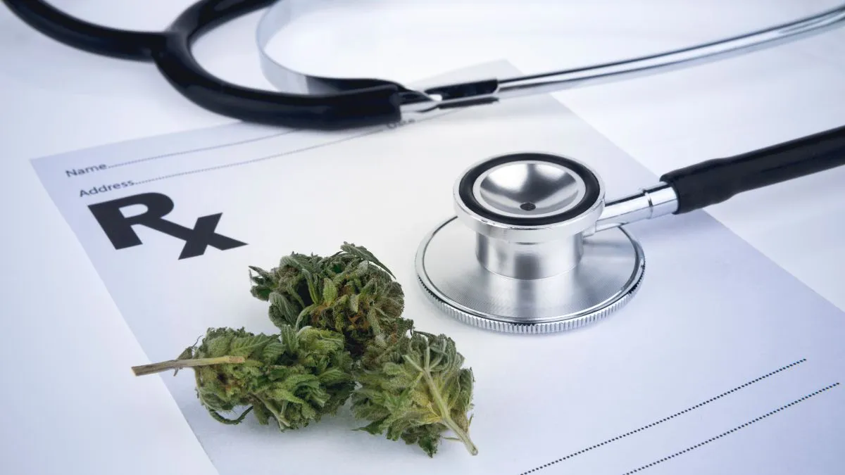 A bud of weed next to a stethoscope.