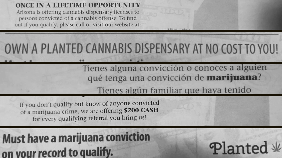 Excerpts from a flier recruiting people to apply for special cannabis licenses.