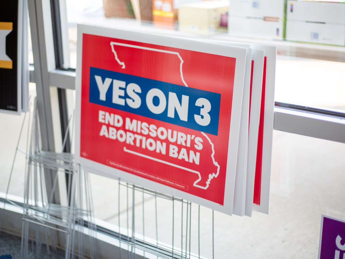 Yard signs supporting Amendment 3 protecting abortion rights