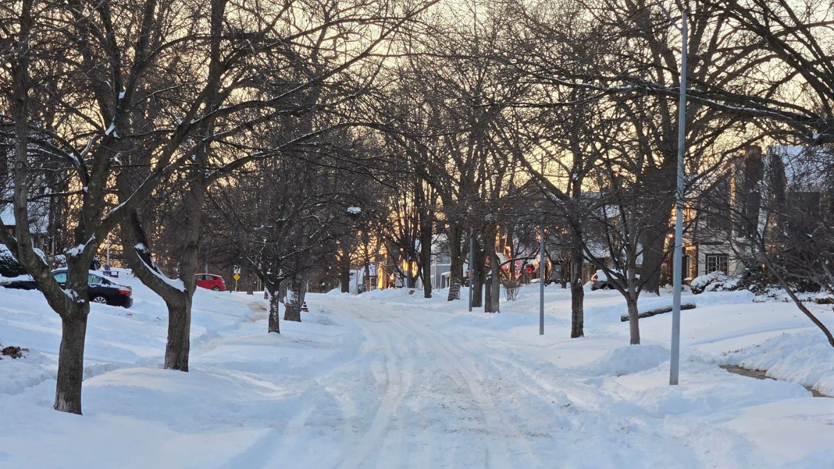 Snowy road conditions on a residential street
