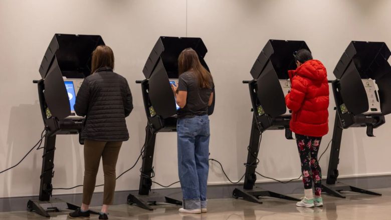 Three people standing at polling booths, with their backs to the camera.