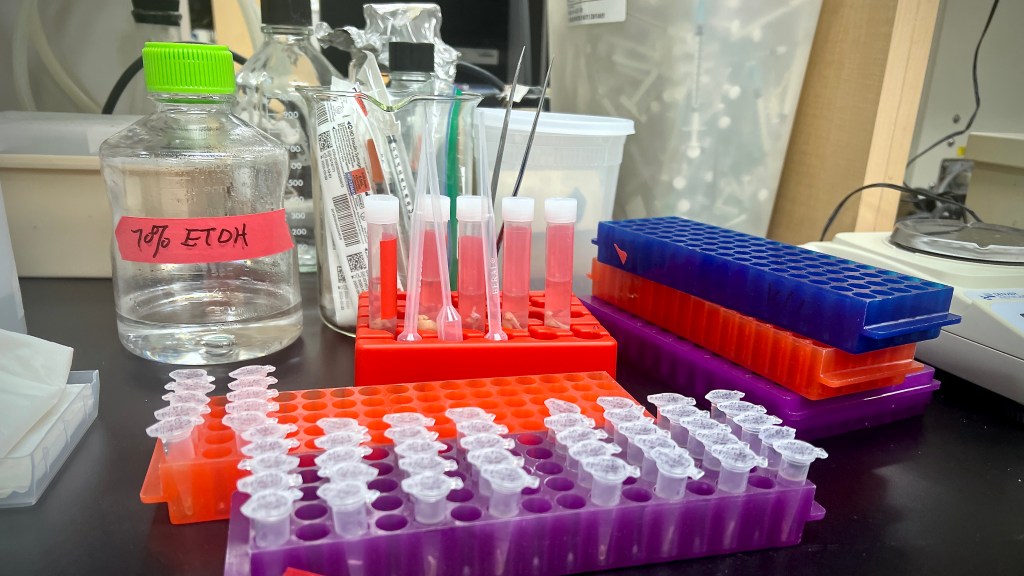 In Missouri and Kansas, NIH research grants slipped in 2025