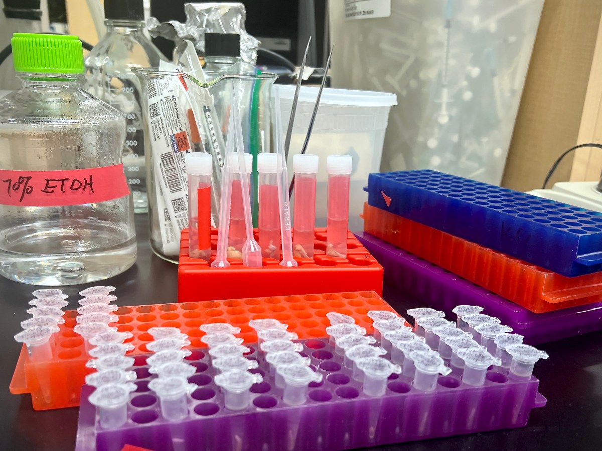 Test tubes and other laboratory equipment.