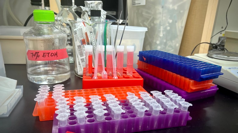 Test tubes and other laboratory equipment.