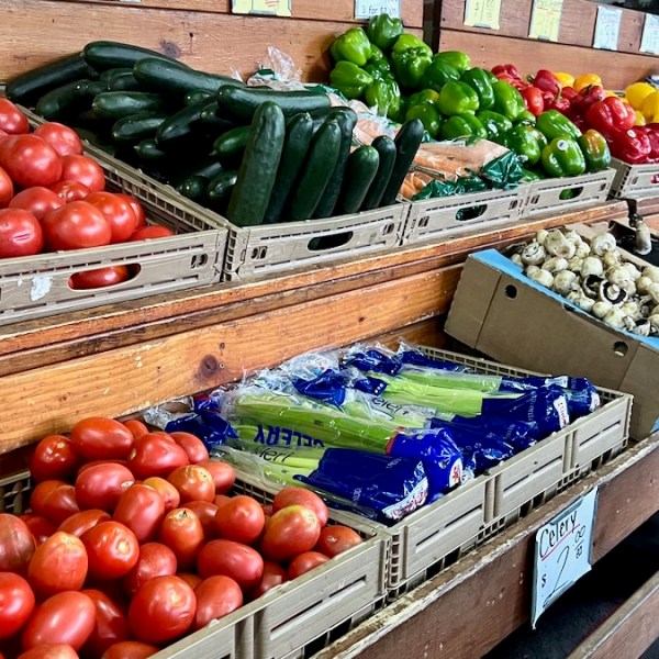 Does the safety net need a safety net? With changes to SNAP, more Kansas Citians are losing benefits   