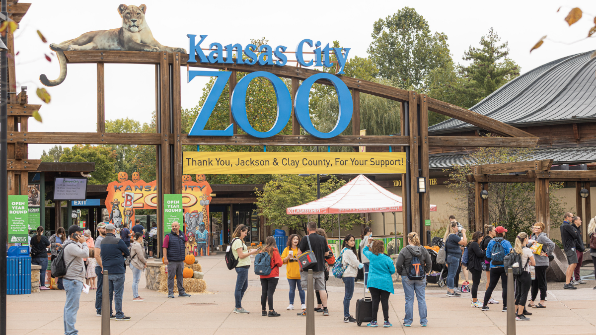 The zoo's proposed expansion of education space would help it welcome more campers throughout the year. (Zach Bauman/The Beacon)