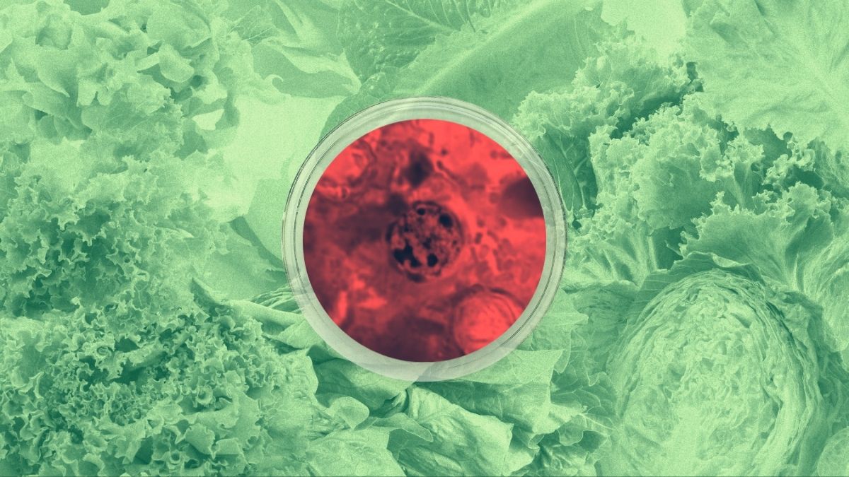 Missouri and Kansas health officials are investigating hundreds of cyclospora cases, highlighting how a complex food supply chain can complicate efforts to trace contaminated food.